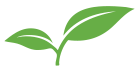 Treepot Media Icon